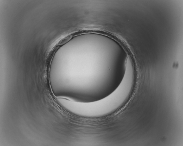 X0000115101167200911171233