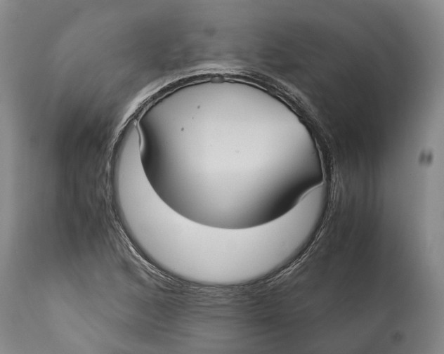 X0000115101168200911171233