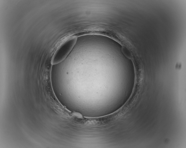 X0000115101169200911171233