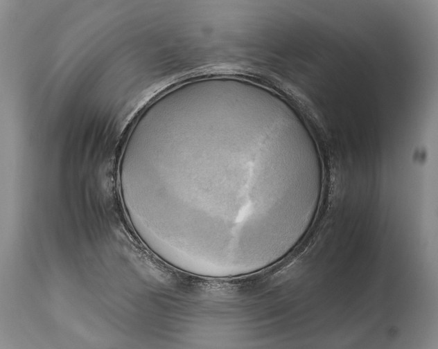 X0000115101170200911171233