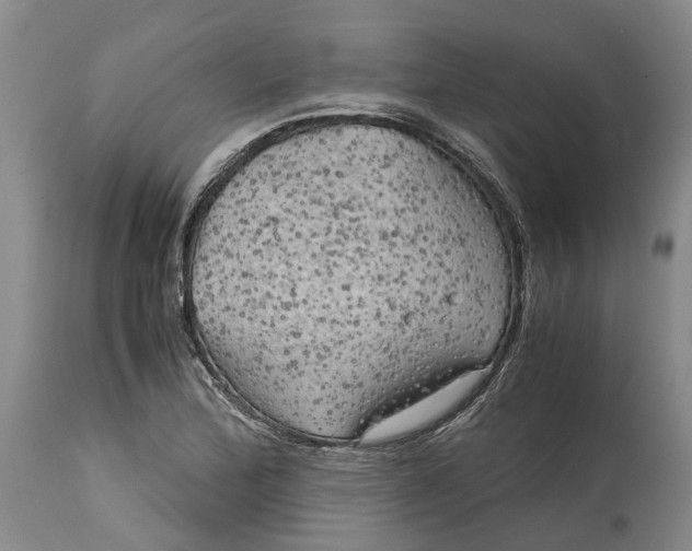 X0000115101172200911171233