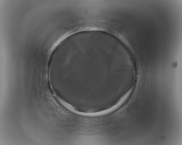 X0000115101173200911171233