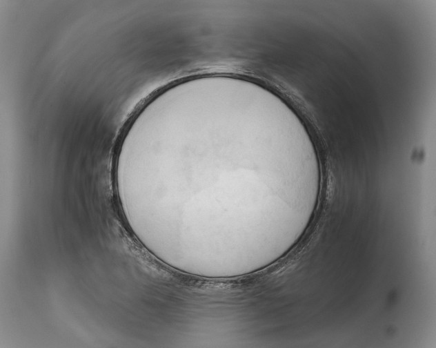 X0000115101174200911171233