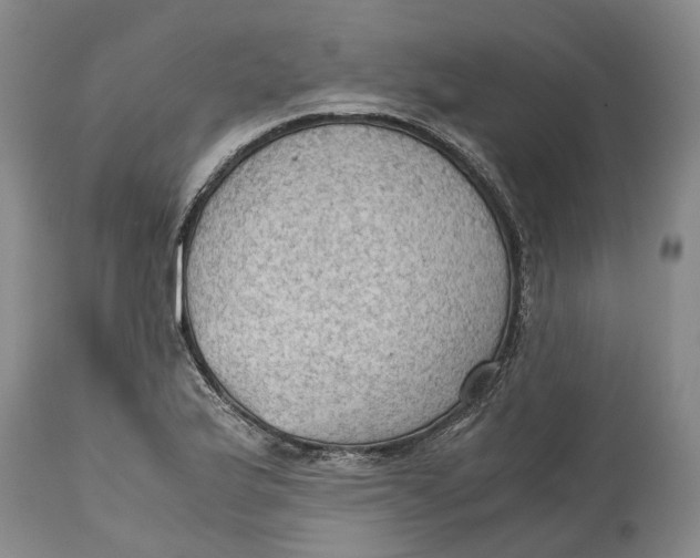 X0000115101175200911171233