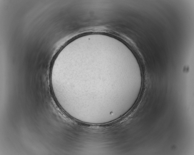 X0000115101176200911171233