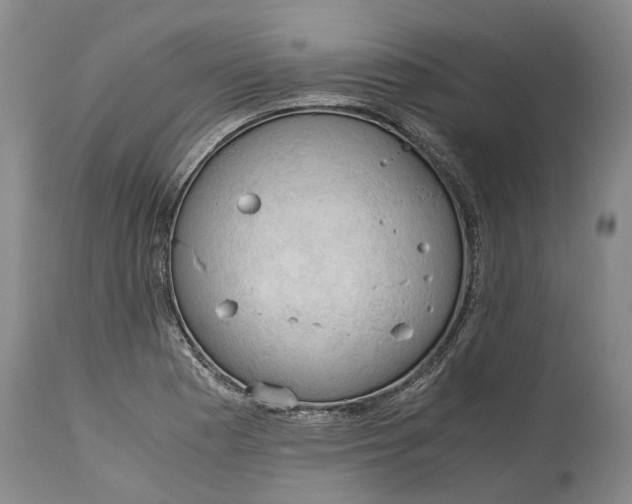 X0000115101177200911171233