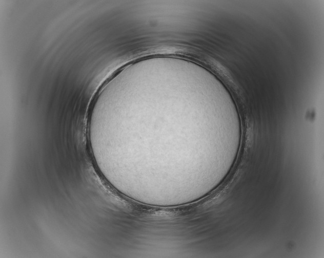 X0000115101178200911171233