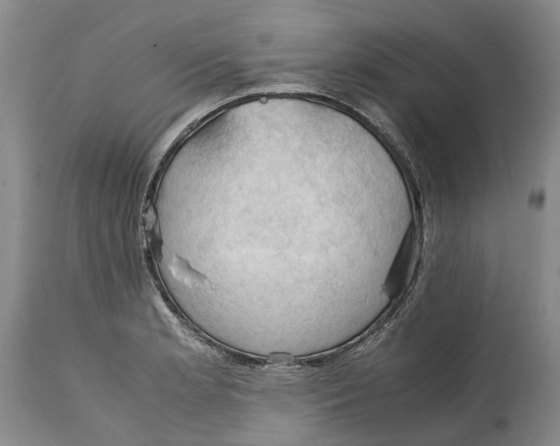 X0000115101181200911171233