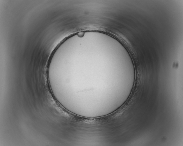 X0000115101182200911171233