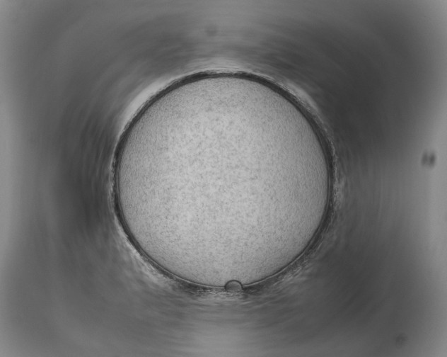 X0000115101183200911171233