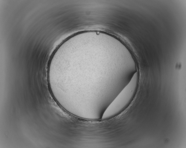 X0000115101184200911171233