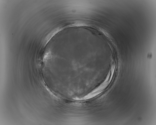 X0000115101185200911171233