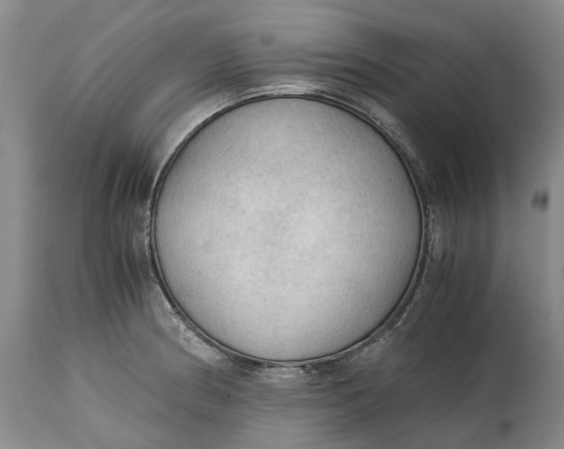 X0000115101186200911171233