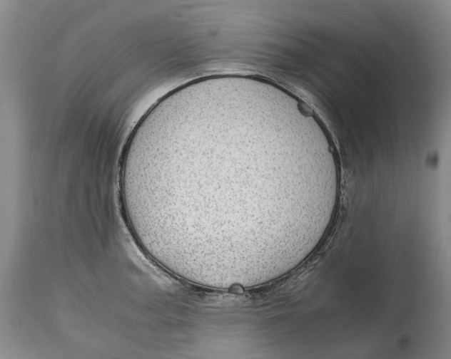 X0000115101187200911171233