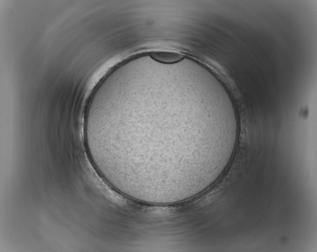 X0000115101188200911171233