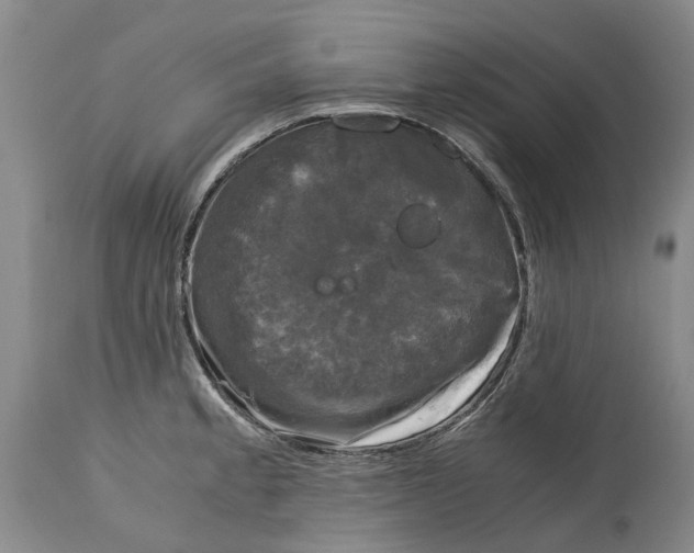 X0000115101189200911171233