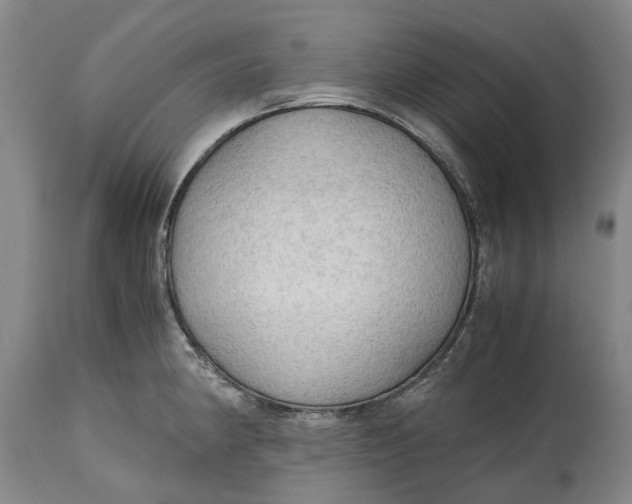 X0000115101190200911171233