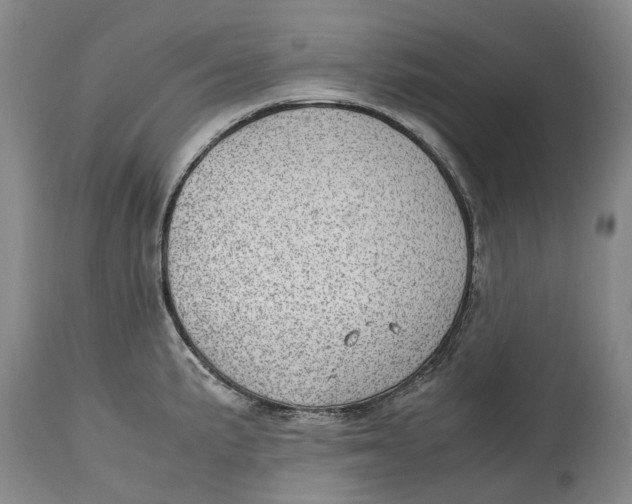 X0000115101191200911171233