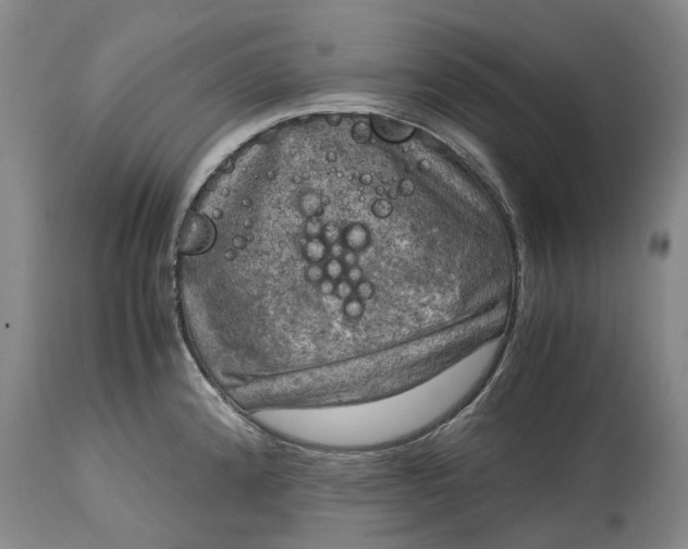 X0000115101192200911171233