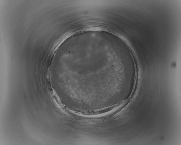 X0000115101193200911171233