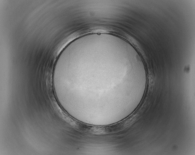 X0000115101194200911171233