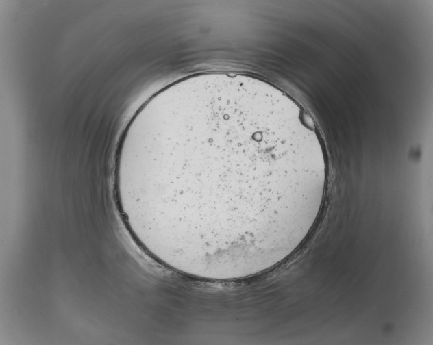 X0000115101195200911171233