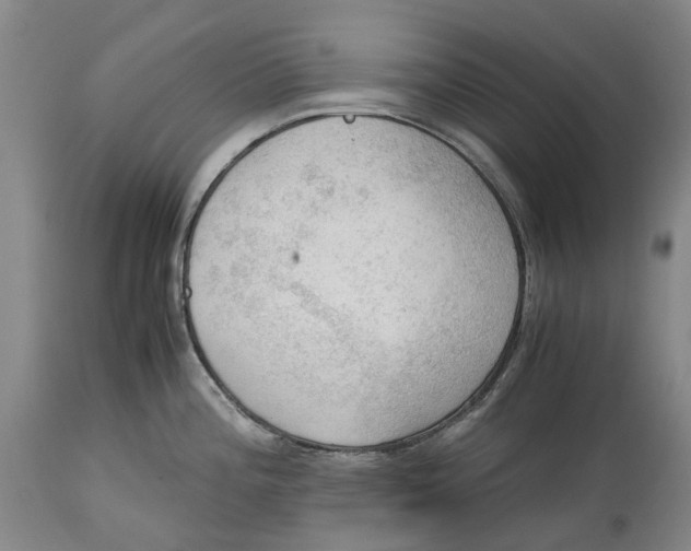 X0000115101196200911171233