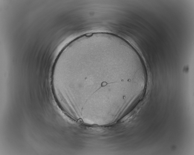 X0000115101197200911171233