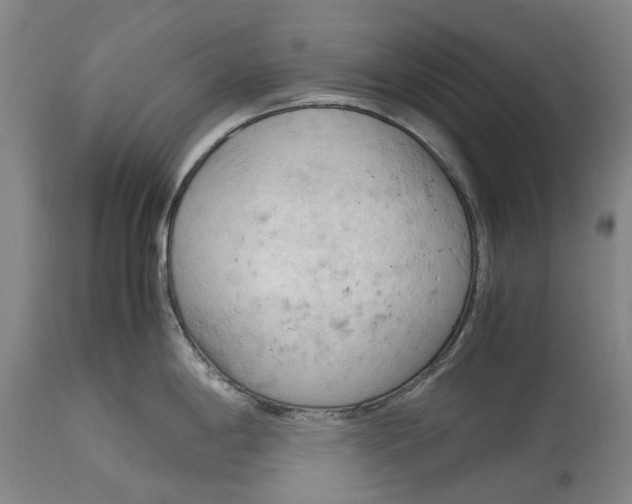 X0000115101198200911171233