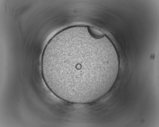 X0000115101199200911171233