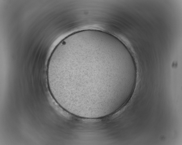 X0000115101200200911171233