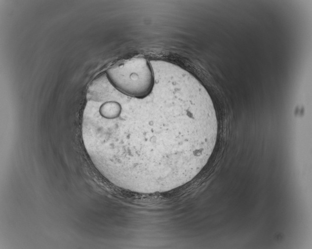 X0000115101201200911171232