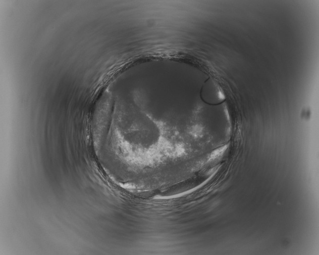 X0000115101202200911171232