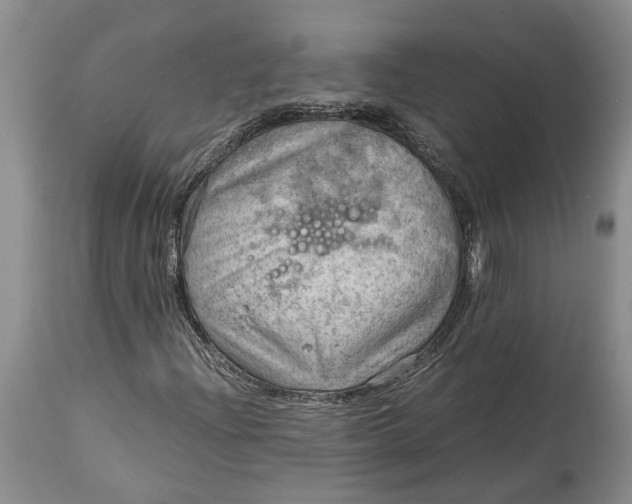 X0000115101204200911171232