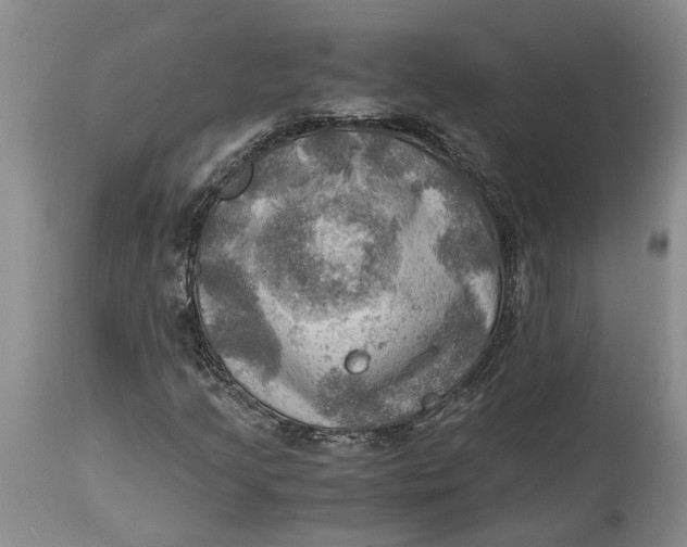 X0000115101205200911171232