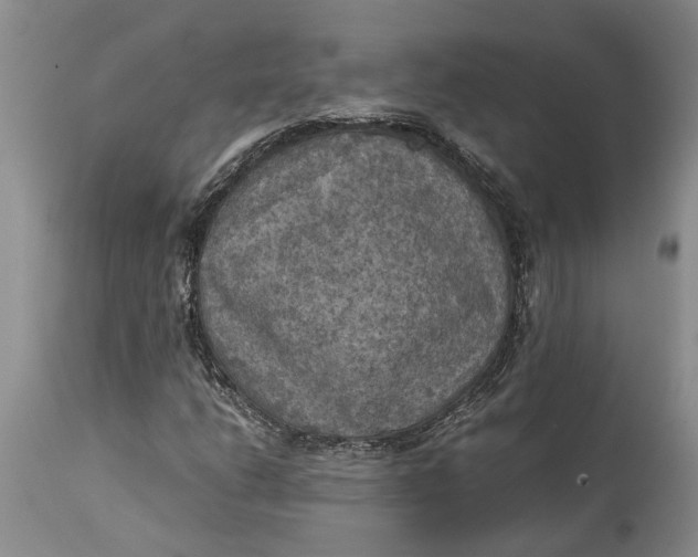 X0000115101206200911171232