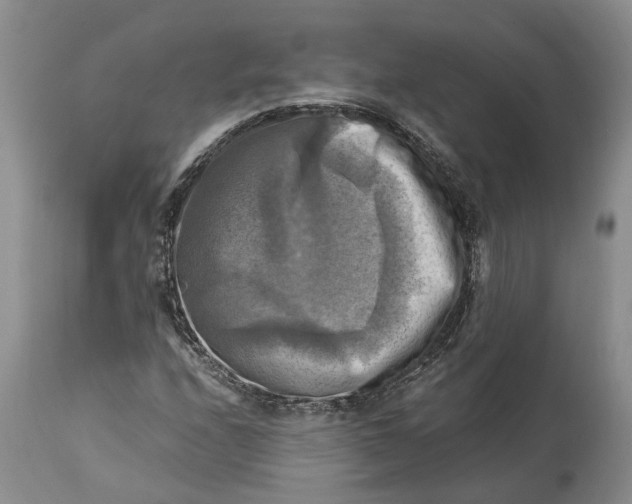 X0000115101208200911171232