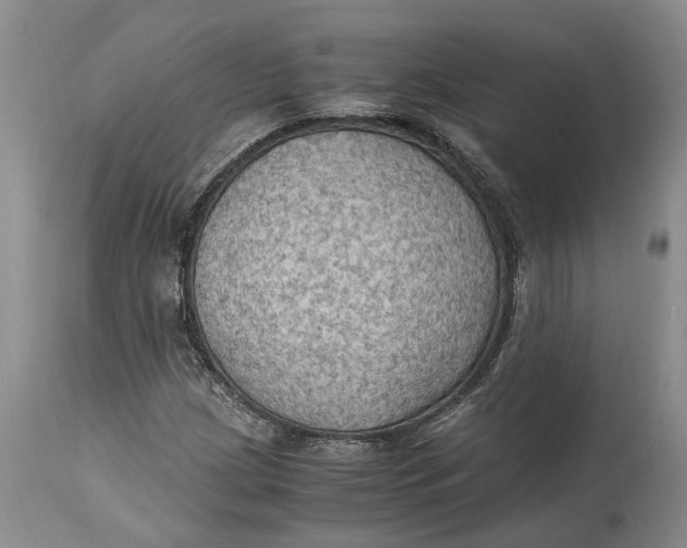 X0000115101209200911171232