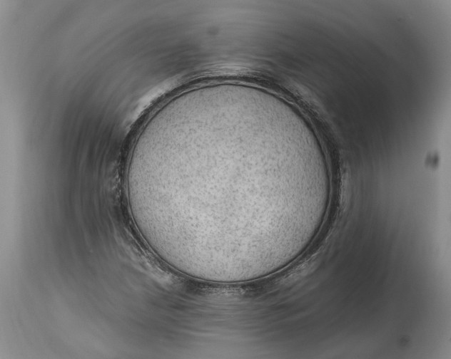 X0000115101210200911171232