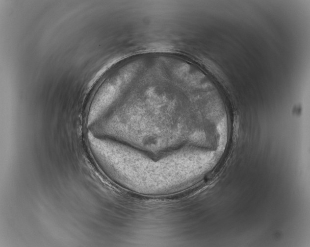 X0000115101212200911171232