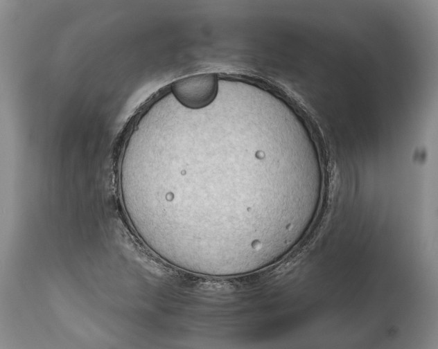 X0000115101215200911171233