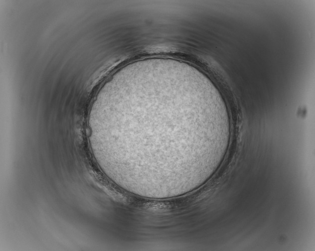 X0000115101217200911171233