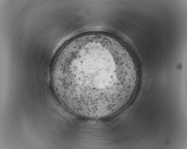 X0000115101218200911171233