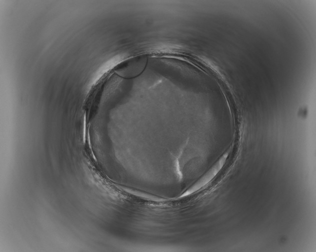 X0000115101219200911171233