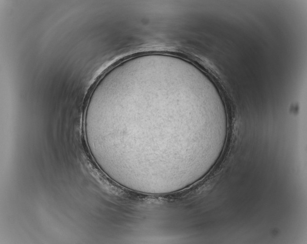 X0000115101220200911171233