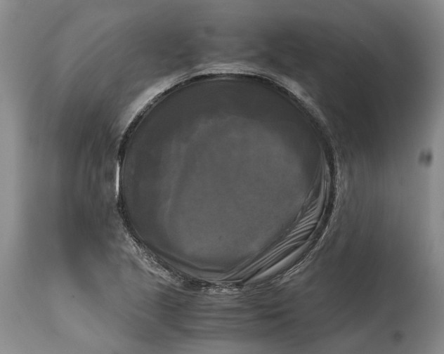 X0000115101221200911171233