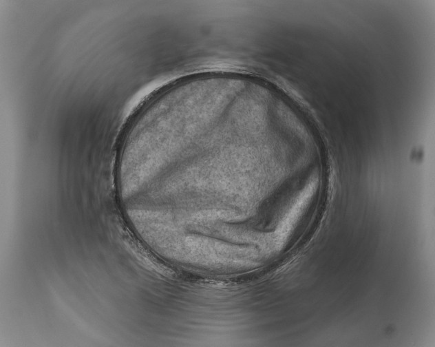 X0000115101222200911171233