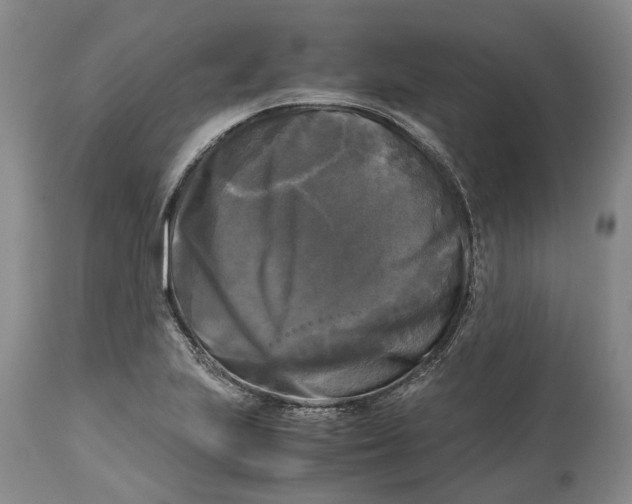 X0000115101223200911171233