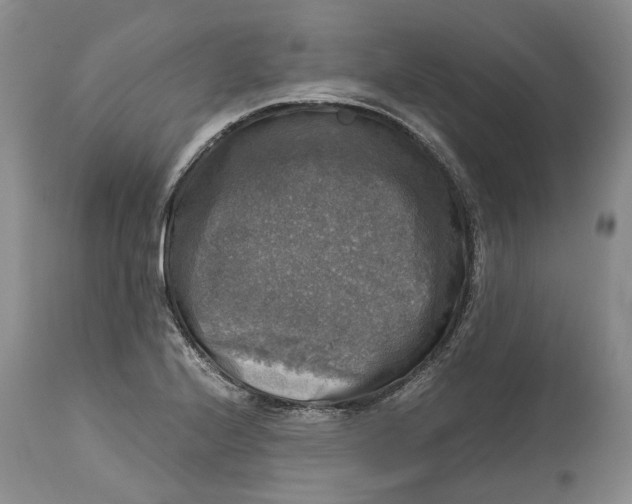 X0000115101224200911171233