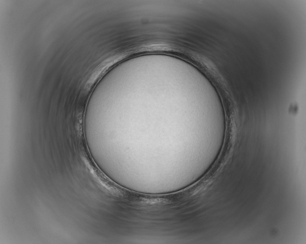 X0000115101225200911171233